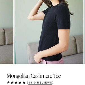 Quince Mongolian Cashmere Tee Small
Black nwt
